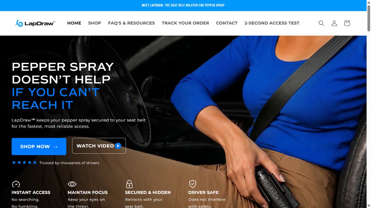 LapDraw website preview
